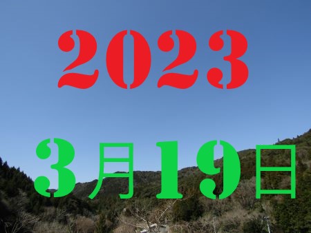 2010N13