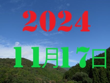 2010N13