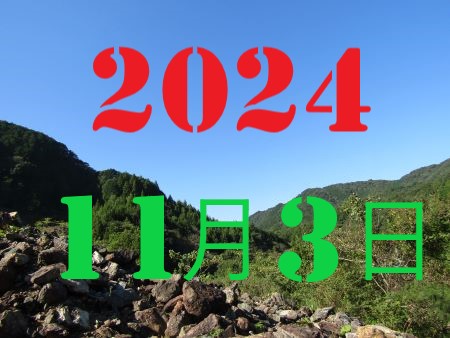 2010N13