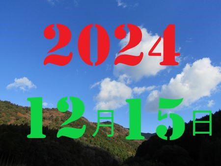 2010N13