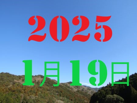 2010N13