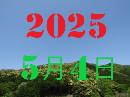 2010N13