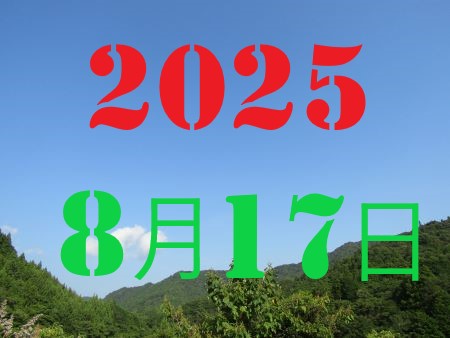 2010N13
