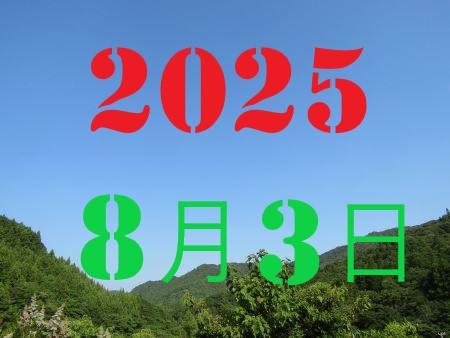 2010N13