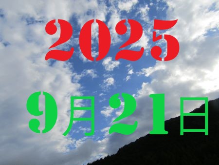 2010N13