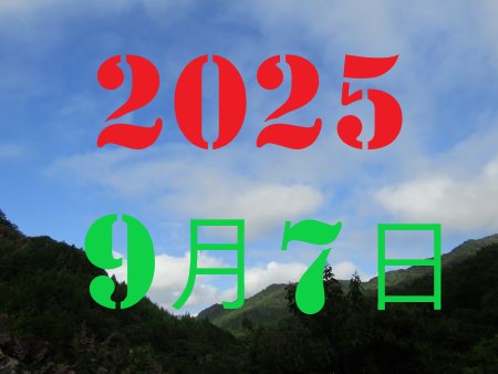 2010N13