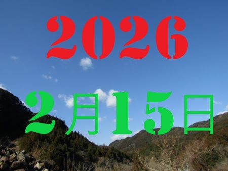 2010�N1��3��