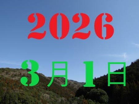 2010�N1��3��