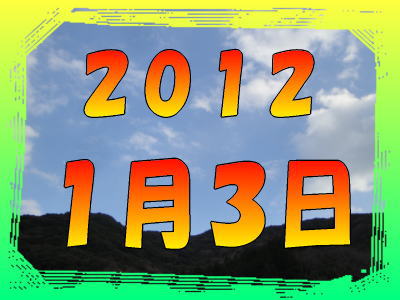2010N117