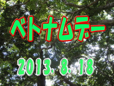 2010N13