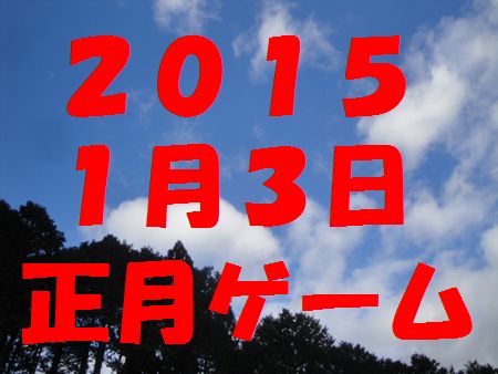 2010N13