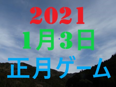 2010N13