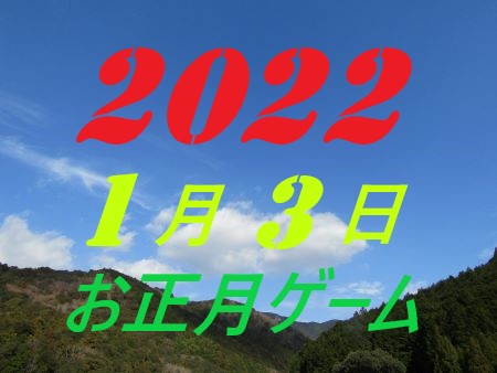 2010N13