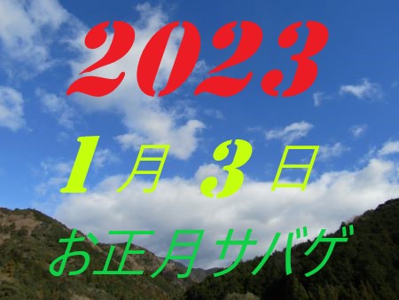 2010N13
