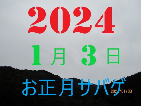 2010N13